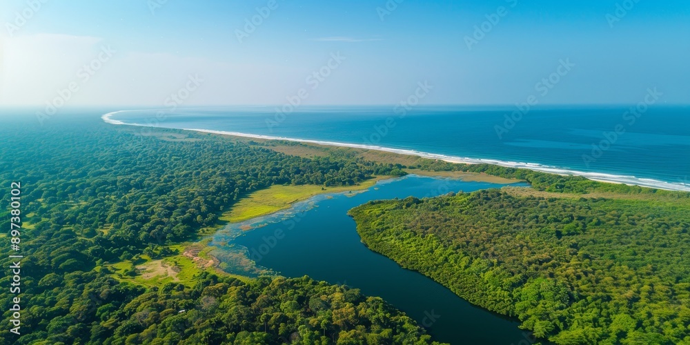 A beautiful blue ocean with a green forest on the shore A beautiful blue ocean with a green forest on the shore
