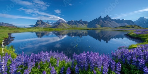 Stunning Icelandic Landscape with Reflection of Mountains and Wildflowers