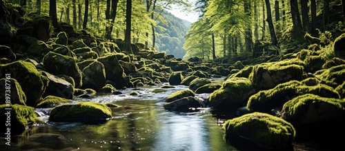 River flowing waterfall from wild forest. Green mossy river rocks photo