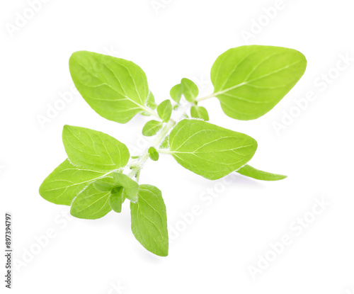 Sprig of fresh green oregano isolated on white