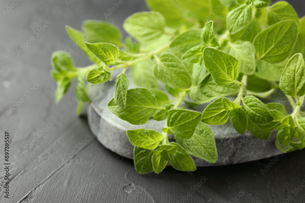 Sprigs of fresh green oregano on dark gray textured table, closeup Sprigs of fresh green oregano on dark gray textured table, closeup
