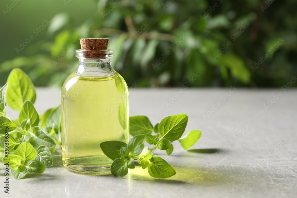 Essential oil in bottle and oregano twigs on light grey textured table against blurred green background, closeup. Space for text Essential oil in bottle and oregano twigs on light grey textured table against blurred green background, closeup. Space for text