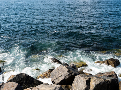 Rock on the shore