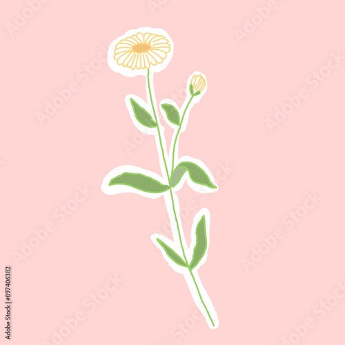 Write flower