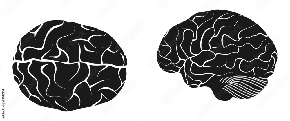 human brain icon set vector illustration isolated on white background.