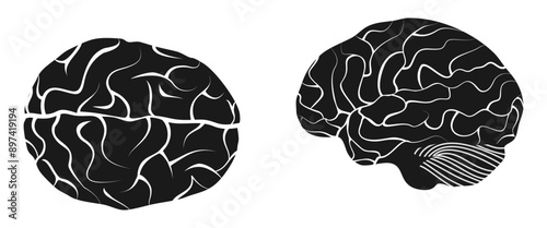 human brain icon set vector illustration isolated on white background.