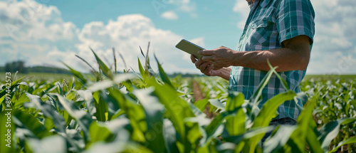 Farmer using a tablet for crop monitoring photo