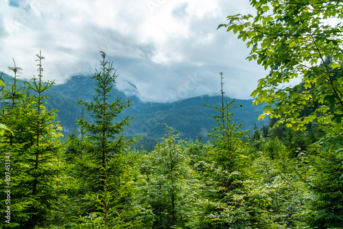 Atemberaubendes Bergpanorama in Hallstatt beim Hohe Sieg photo