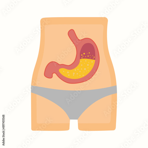Gastric organs of a healthy human body. Human health. A well-functioning gastric system. Pro Vector isolated vector illustration