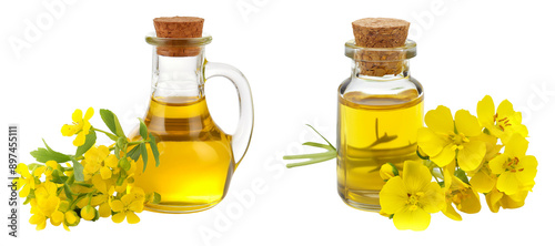 Canola oil bottles with canola flowers isolated on transparent or white background