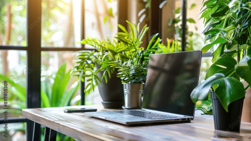 Laptop and Plants on a Desk with a Window View Laptop and Plants on a Desk with a Window View