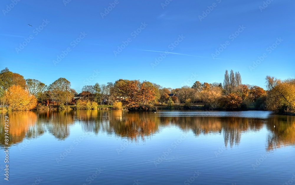 A beautiful reflection view of trees overlooking a calm lake under a blue sky on a bright day in autumn. A beautiful reflection view of trees overlooking a calm lake under a blue sky on a bright day in autumn.