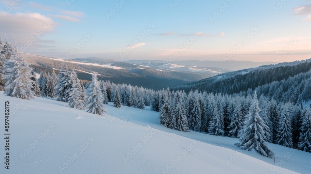 A snowy mountain landscape with pine trees and a clear blue sky A snowy mountain landscape with pine trees and a clear blue sky