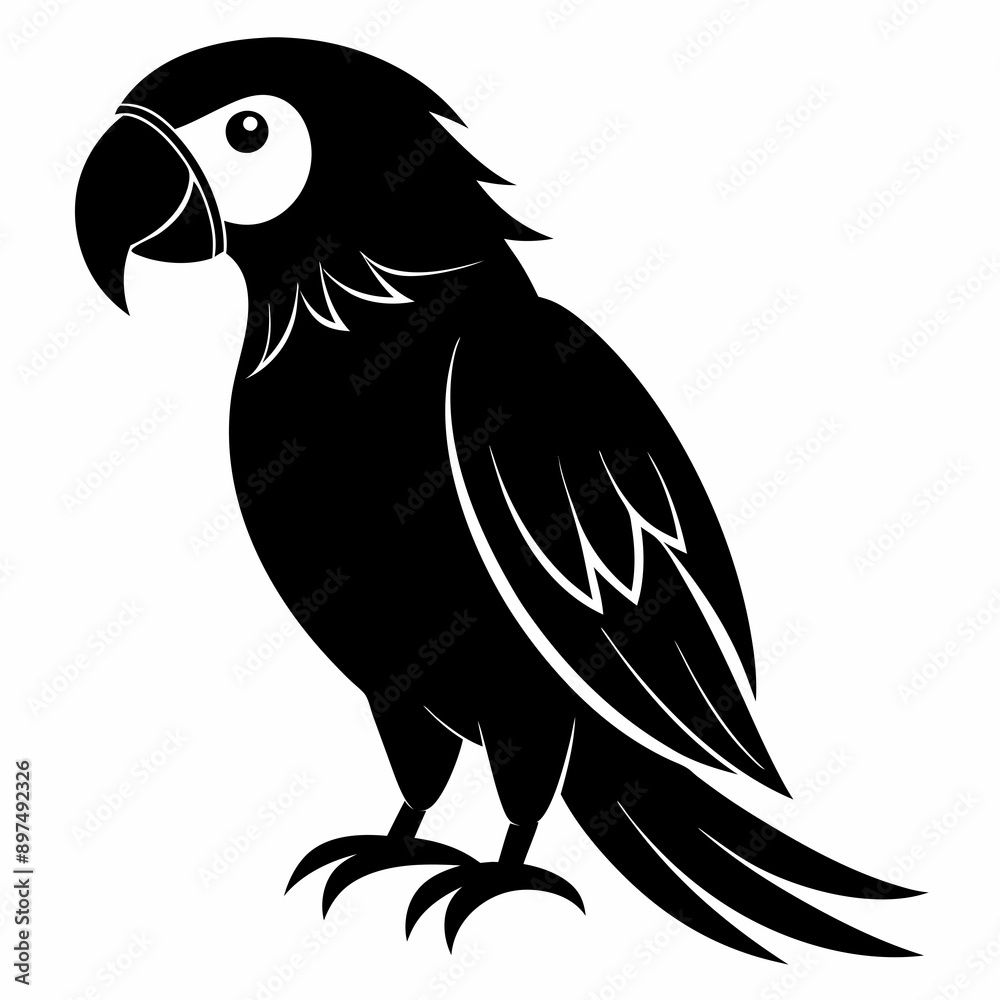 Fototapeta premium Macaw Black silhouette
