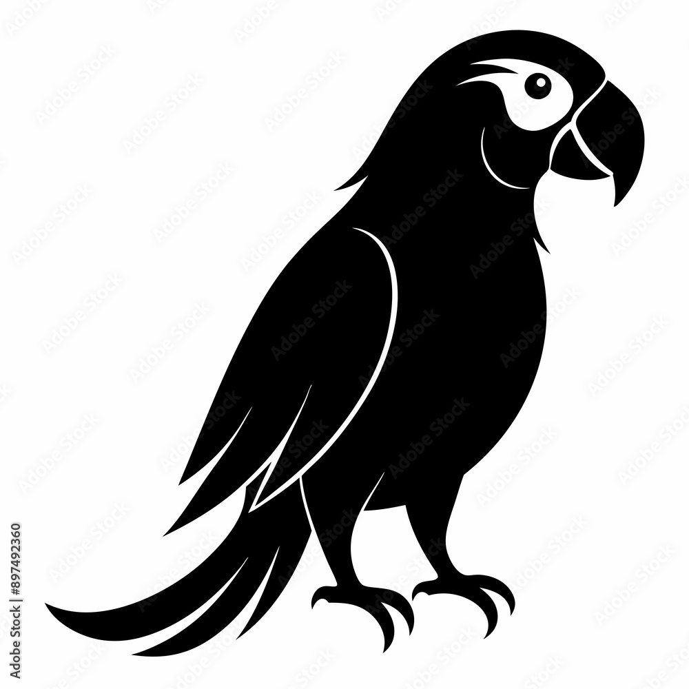 Fototapeta premium Macaw Black silhouette