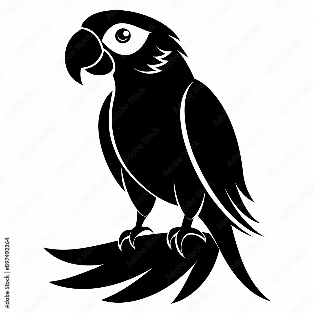 Fototapeta premium Macaw Black silhouette