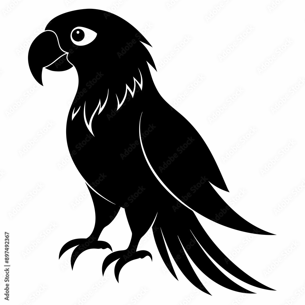 Obraz premium Macaw Black silhouette