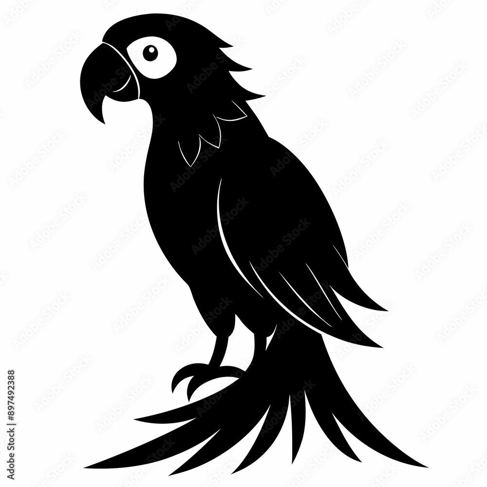 Obraz premium Macaw Black silhouette