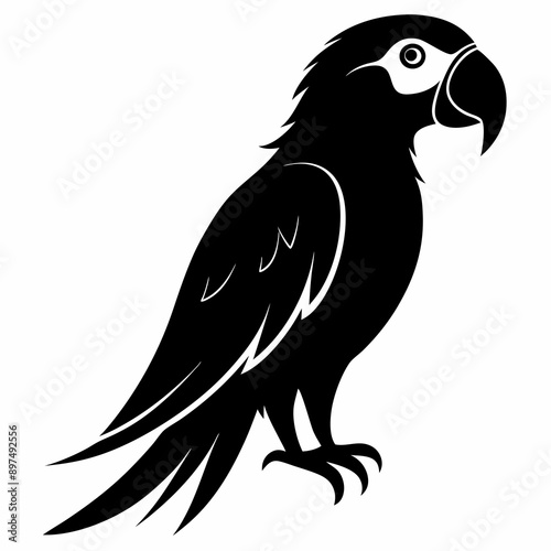 Macaw Black silhouette