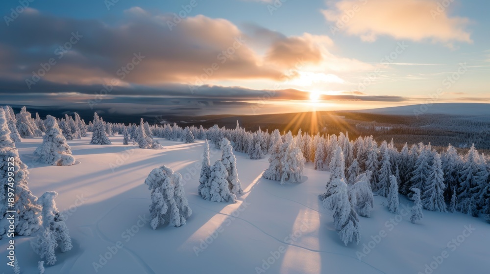 A snowy landscape with trees and a sun in the sky A snowy landscape with trees and a sun in the sky