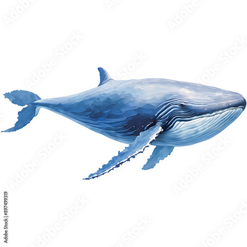 Watercolor painting of a blue whale on a white background. photo