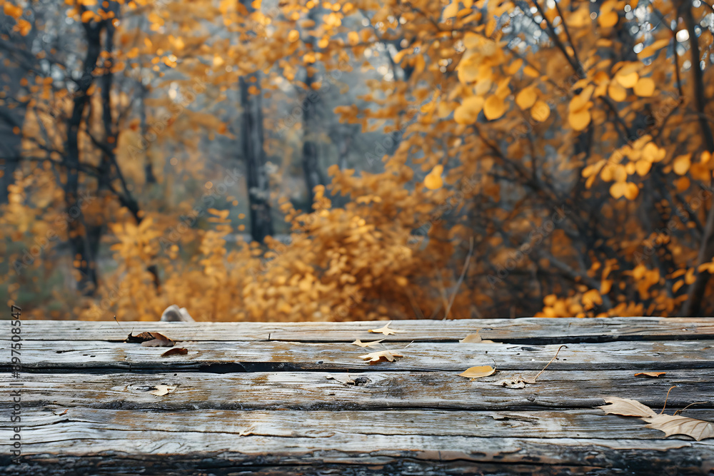 Autumn Landscape background Rustic Wood Autumn Landscape background Rustic Wood