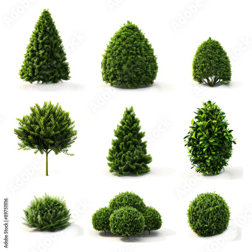 collection of topiary bushes in various shapes and sizes, isolated on white.