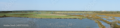 Camargue, panorama avec flamands roses