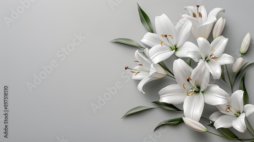 3D elegant white lilies on a soft grey background