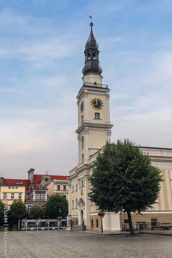 Market square and Town Hall in Leszno, Poland