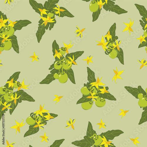 Yellow Tomato Blossoms and Green Tomatoes with Leaves on a Mint Green Background creating a seamless pattern print background