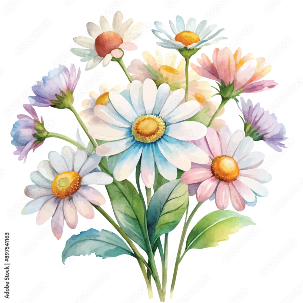  Watercolor White Daisy Flower