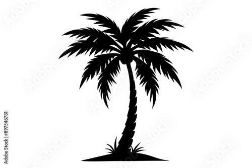 Palm tree icon.  Abstract line beach logo. Shape hand draw. Vector illustration .  plam  Tree Vector Icon in Minimal Line Art.
