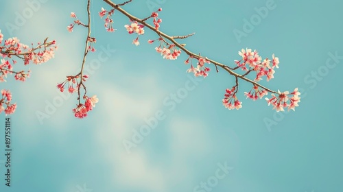 Cherry branches against blue sky with copy space in spring card