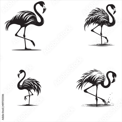 silhouette of Elegant Flamingo vector set isolated on white background 