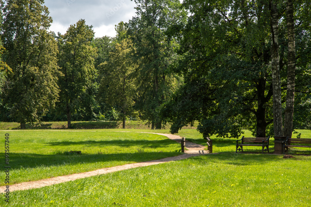a beautiful path in an outdoor park with wooden bridges in a sunny day a beautiful path in an outdoor park with wooden bridges in a sunny day