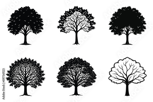 Elm tree silhouette collection vector illustration
