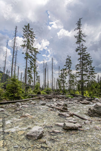 Waterfalls at stream Studeny potok in High Tatras mountains, Slovakia photo