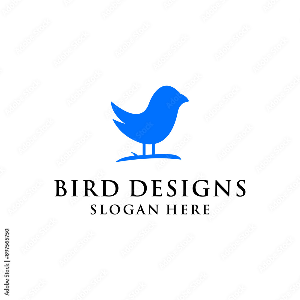 simple concept of ugly bird simple concept of ugly bird