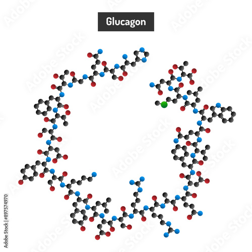 The Hypoglycemia Treatment Molecule - Glucagon