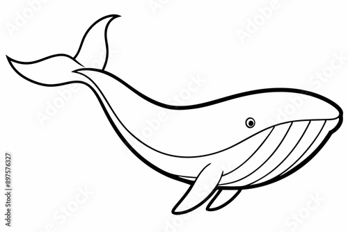 


Whale silhouette, whale animal icon. vector illustration


