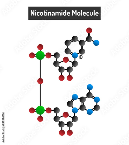 Nicotinamide Molecule - Structure, Properties, and Applications