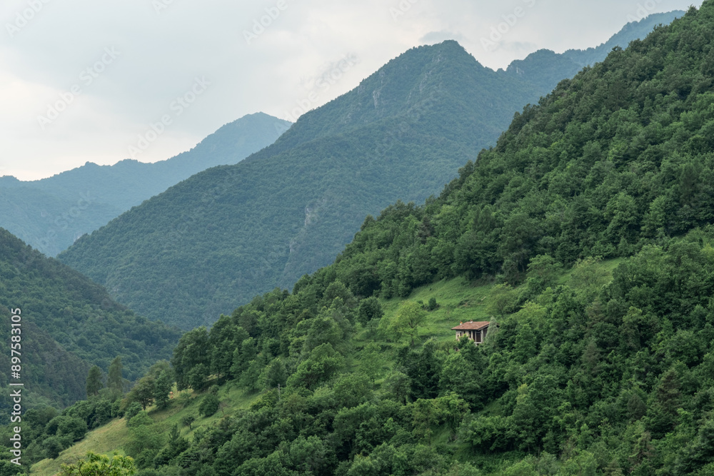Majestic Tree-Covered Mountains in the Italian Countryside Majestic Tree-Covered Mountains in the Italian Countryside