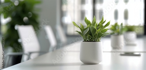 Plants on a White Table in a Modern Office
