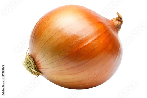 A single onion