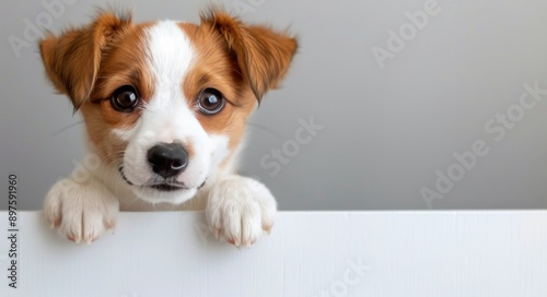 Puppy Peeking Over White Surface
