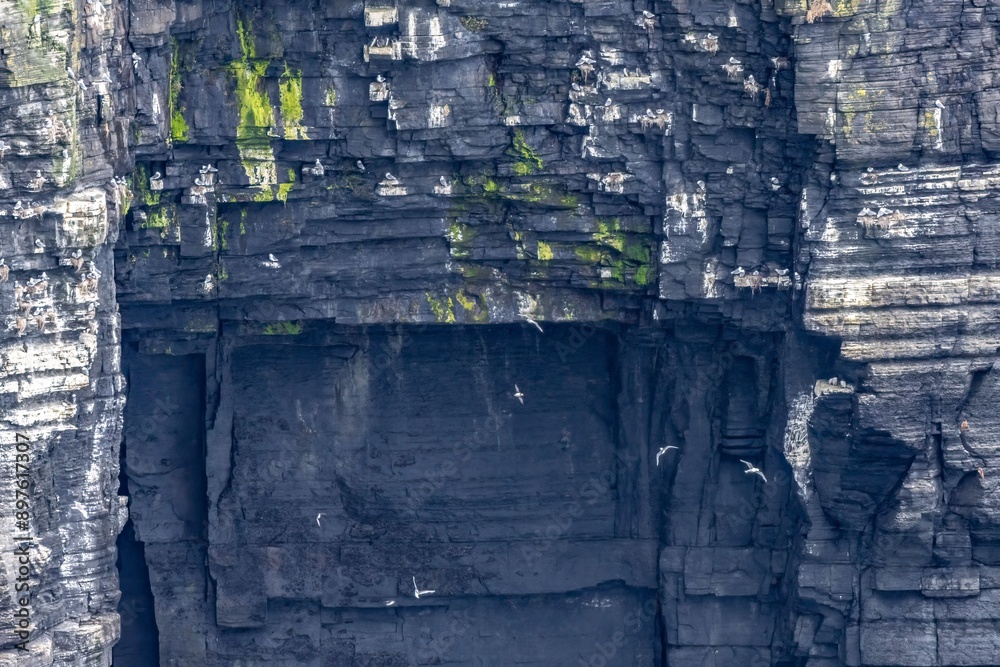 Fototapeta premium Cliffs of Moher, Ireland