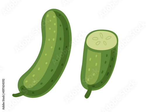 Fresh green cucumber. Whole and sliced vegetable. Healthy eating veggie. Flat vector illustration isolated on white background