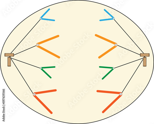 23-07-24 mitosis images