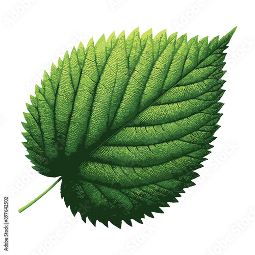 Green Leaves Background